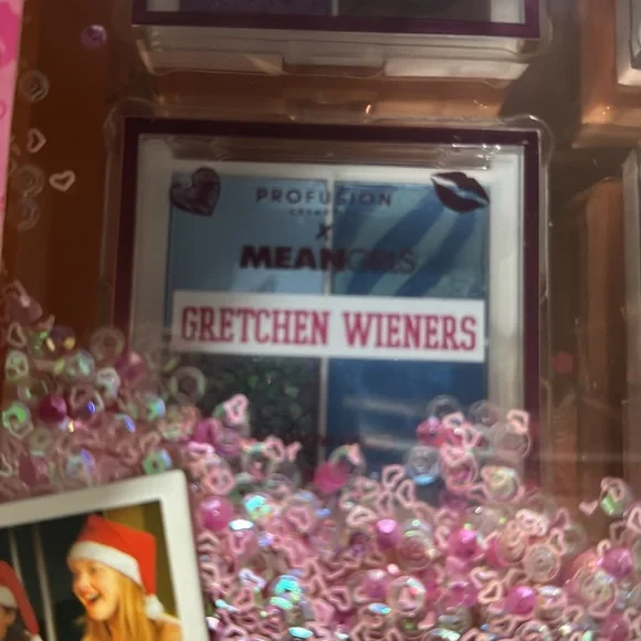Mean Girls Eyeshadow Pallet set
